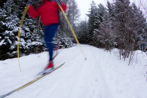 Молодий чоловік катається на лижах по засніженій лісовій стежці (колір до — стокове фото