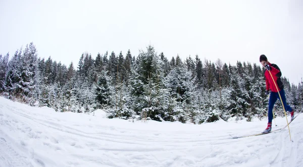 Kayaklı koşu karlı orman izinde (renge genç adam — Stok fotoğraf