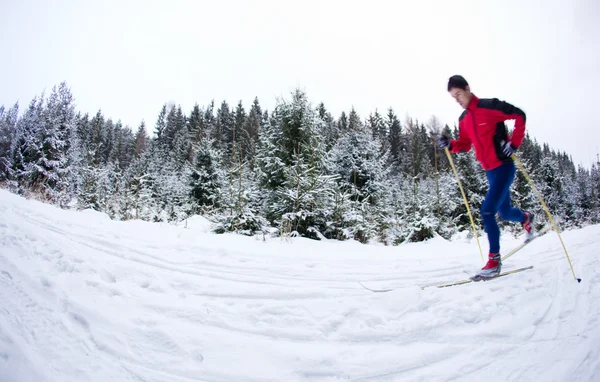 Молодой человек бег на лыжах по снежной лесной тропе (цвет — стоковое фото