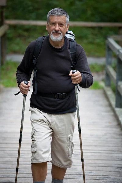 Bonito homem sênior ativo nórdico andando ao ar livre em uma floresta p — Fotografia de Stock