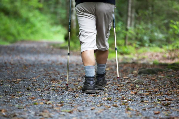 Активний красивий старший чоловік скандинавський ходьба на відкритому повітрі на лісі р — стокове фото