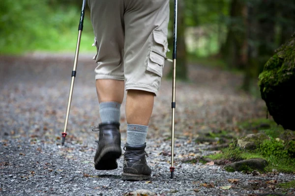 Hombre mayor guapo activo nórdico caminando al aire libre en un bosque p — Foto de Stock