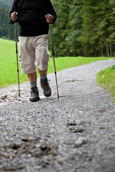 Attivo bell'uomo anziano nordic camminare all'aperto su una foresta p — Foto Stock