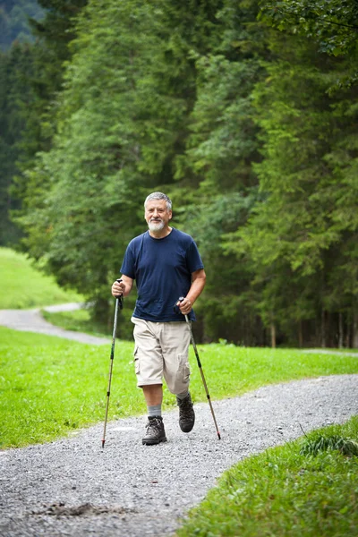 Hombre mayor guapo activo nórdico caminando al aire libre en un bosque p —  Fotos de Stock