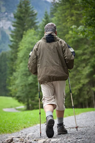 Aktiv, kjekk, eldre mann som går utendørs på en skog – stockfoto