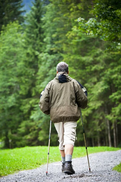 Active handsome senior man nordic walking outdoors on a forest p — Stock Photo, Image