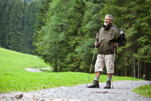 Actif beau vieux homme nordique marche à l'extérieur sur une forêt p — Photo