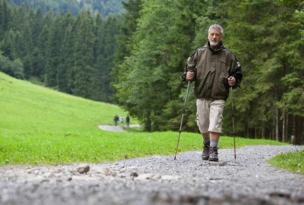 Aktivní senior muž nordic walking venku na lesní p — Stock fotografie