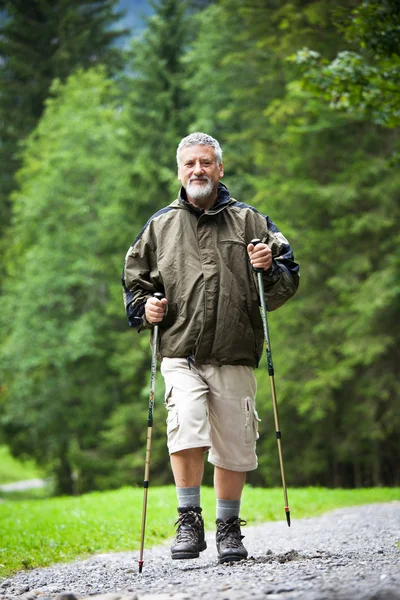 Attivo bell'uomo anziano nordic camminare all'aperto su una foresta p — Foto Stock