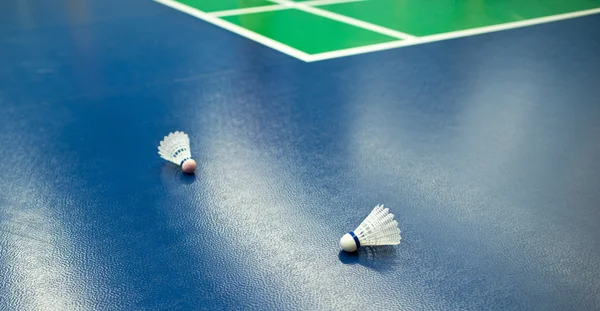 Badminton - campi da badminton con due navette (DOF poco profondo; — Foto Stock