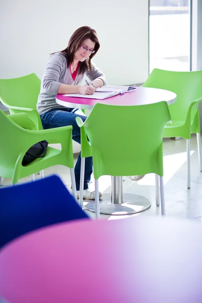 Estudiante universitaria femenina haciendo tarea / asignación en el campus / en s — Foto de Stock