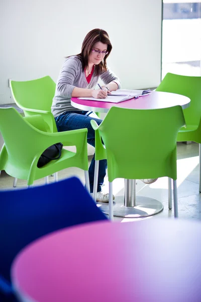 Estudiante universitaria femenina haciendo tarea / asignación en el campus / en s — Foto de Stock