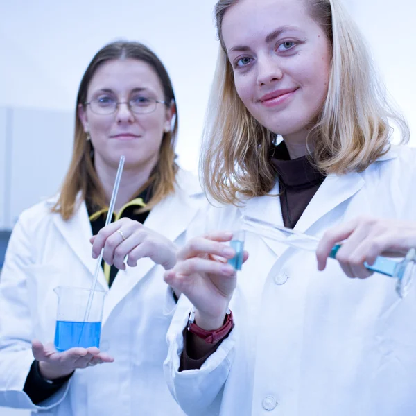 Two female researchers carrying out research in a chemistry / bioc — стоковое фото