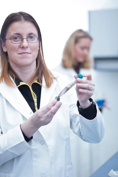 Дві жінки-дослідниці проводять дослідження в галузі хімії/біології — стокове фото