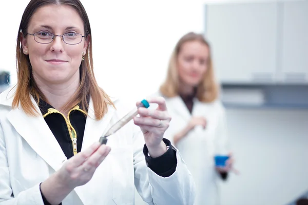 两名女性研究人员开展研究化学/bioc — 图库照片