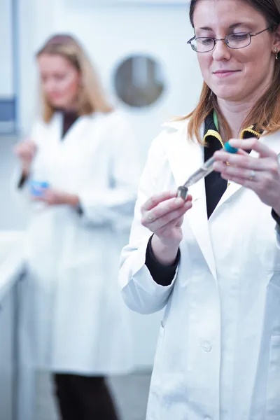 İki kadın araştırmacı bir kimya/bioc araştırmaları yürüten — Stok fotoğraf