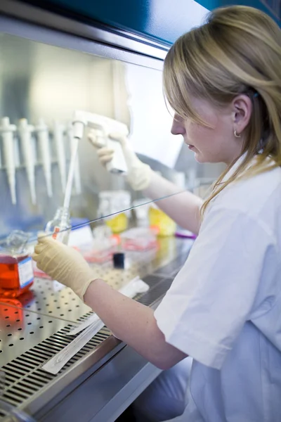 Portrait of a female researcher doing research in a lab (color t Stock Photo