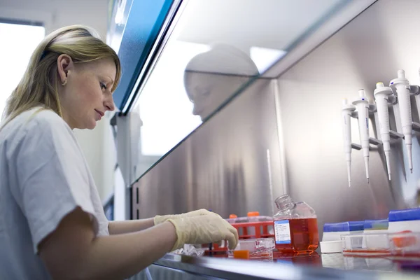 Portrait of a female researcher doing research in a lab (color t Royalty Free Stock Images