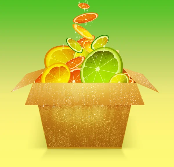 Schachtel mit Zitrusfrüchten — Stockfoto