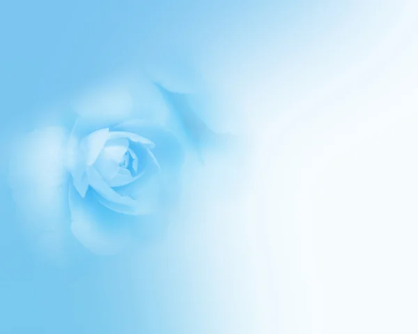 Απαλό φόντο με μπλε τριαντάφυλλο — Φωτογραφία Αρχείου