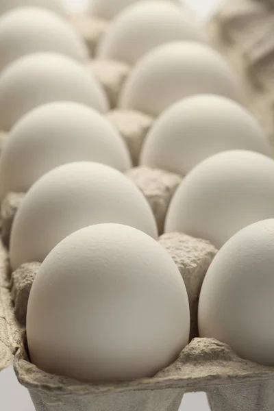 Stock image White eggs