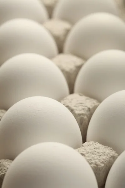 stock image White eggs