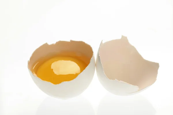 stock image Open egg