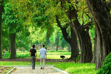 Park in a city with green trees clipart