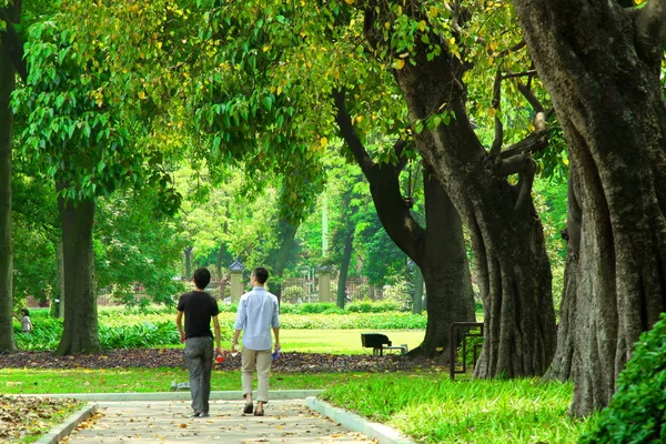 Parque em uma cidade com árvores verdes — Fotografia de Stock