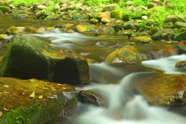 zhangjiajie orman dağ dere ile peyzaj