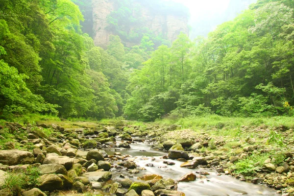 Landschaft mit Gebirgsbach im Wald von Zhangjiajie — Stockfoto