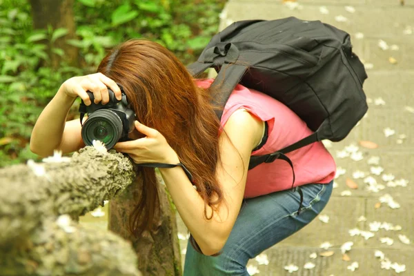 Asian girl photographer — Stock Photo, Image