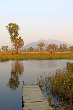 Hong Kong wetland with lake and wooden pier clipart