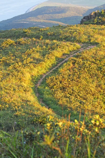 Stock image Mountain path