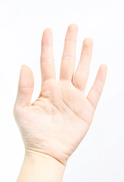 Lidské dlaně izolovaných na bílém pozadí — Stock fotografie