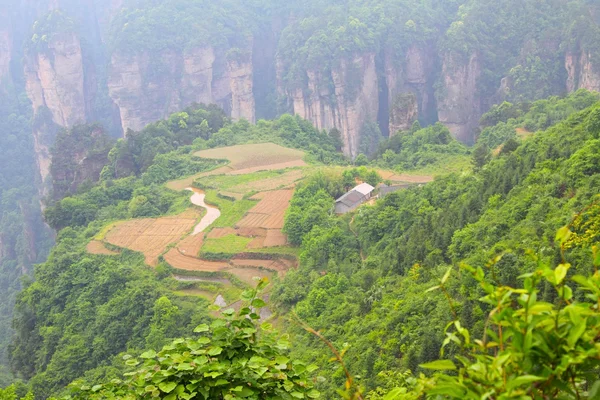 Landschap in zhangjiajie van china — Stockfoto