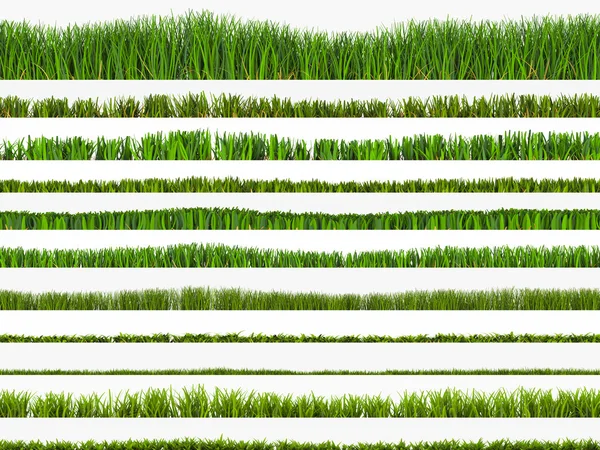Встановити трави — стокове фото