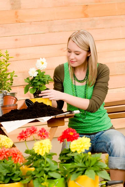 Giardinaggio donna piantare fiore primaverile — Foto Stock