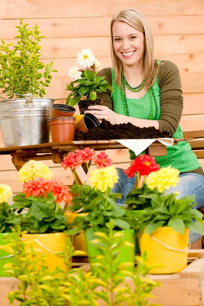 Gardening woman planting spring flower — Stock Photo, Image