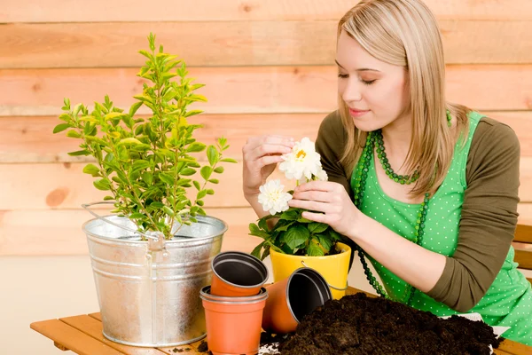 Tuinieren vrouw aanplant voorjaar bloem — Stockfoto
