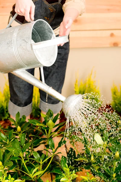 Jardinagem mulher rega planta primavera terraço — Fotografia de Stock