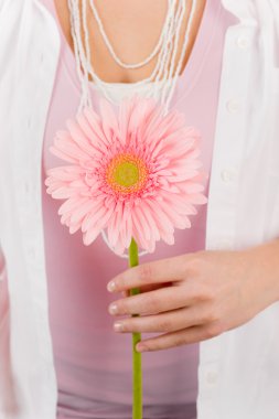 gerbera pembe papatya çiçeği bir kadın tarafından tutun