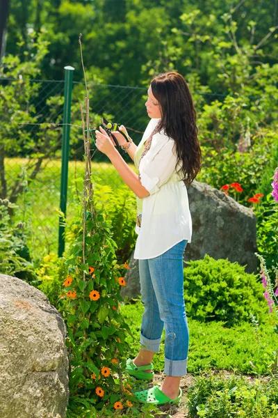 Letní zahradnické mladá krásná žena řezaných květin — Stock fotografie