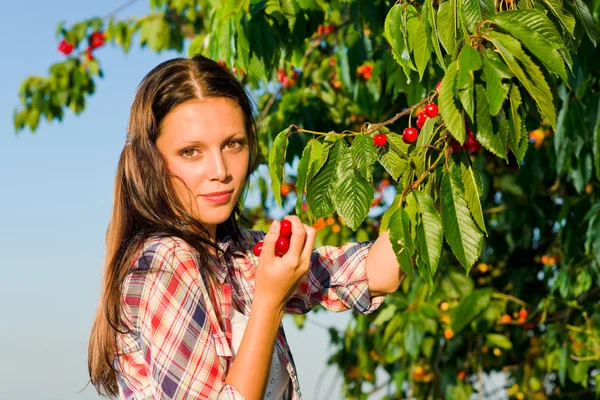 Körsbärsträdet skörd sommaren vacker kvinna soliga — Stockfoto