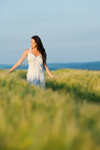 日没のトウモロコシ畑の美しいブルネットの女性を歩く — ストック写真