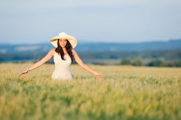 Закат кукурузы поле красивая брюнетка женщина ходить — стоковое фото
