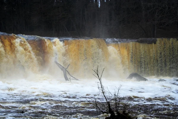 stock image Spring waterfall in the park