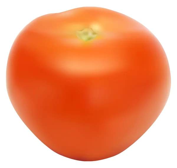 Llustration der roten und frischen Tomate — Stockfoto