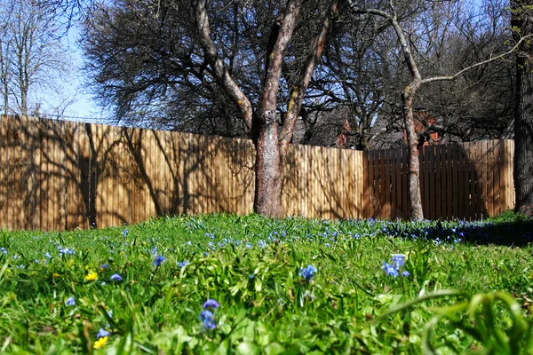 Sunny yard in the spring with fense — Stock Photo, Image