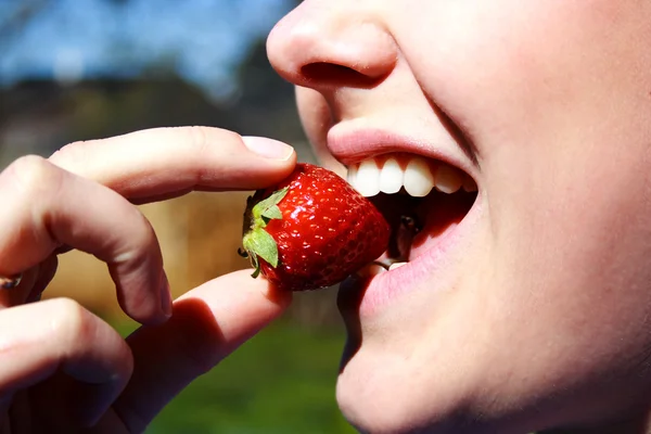 Naisen kasvot syövät mansikkaa — kuvapankkivalokuva
